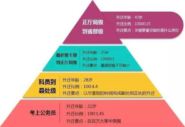 公务员报考条件中的党员身份要求，深度解析与探讨