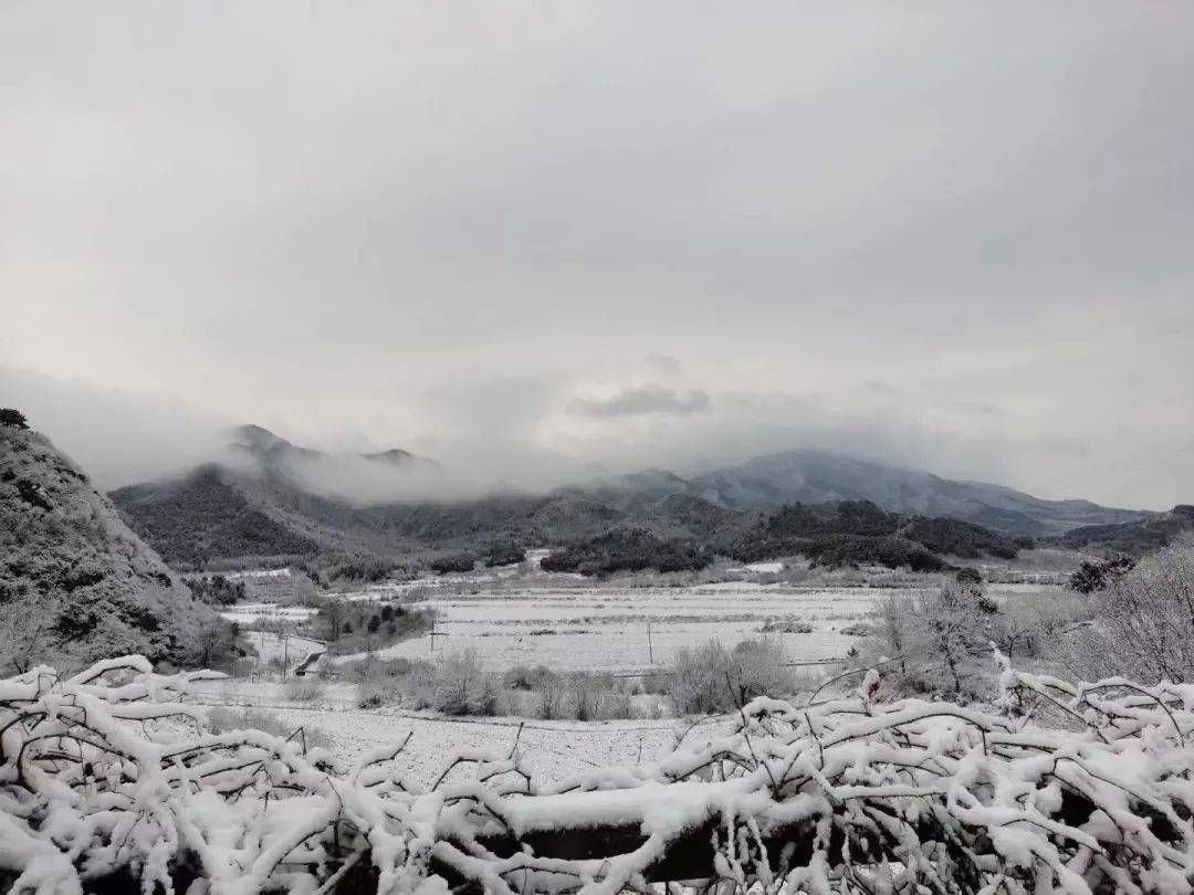 大雪来了：强冷空气抵达广东北方多省下雪，大台风潭美酝酿或带来更冷天气