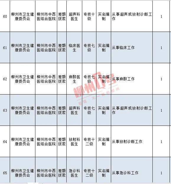 事业编职级级别一览表，洞悉职业发展阶梯与晋升路径