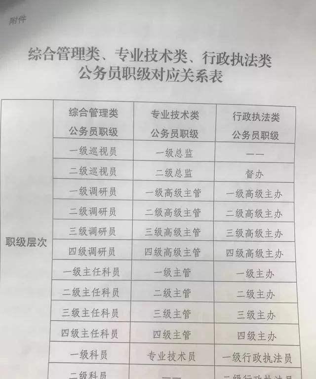 四级主任科员级别深度探究