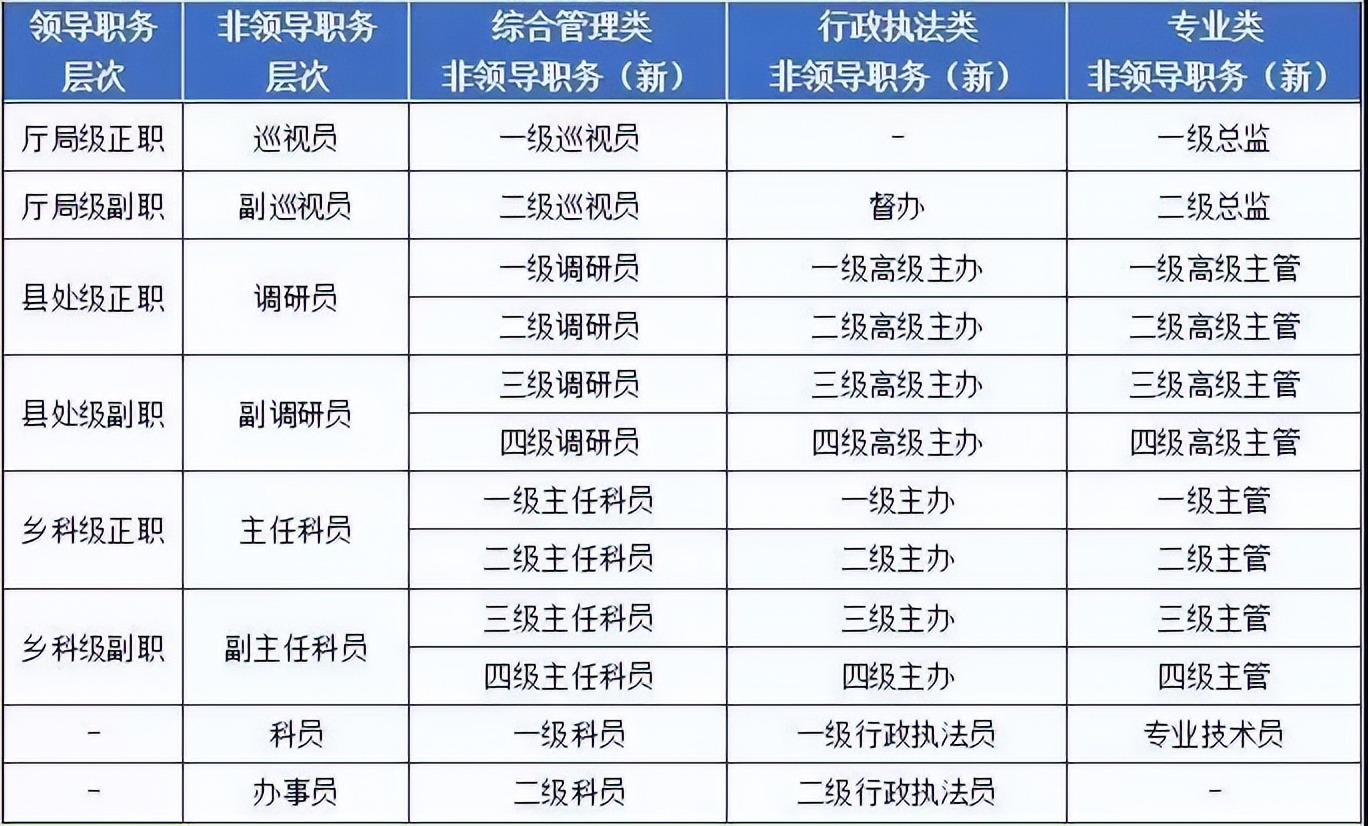 公务员职务级别概览，巡视员角色与职责解析