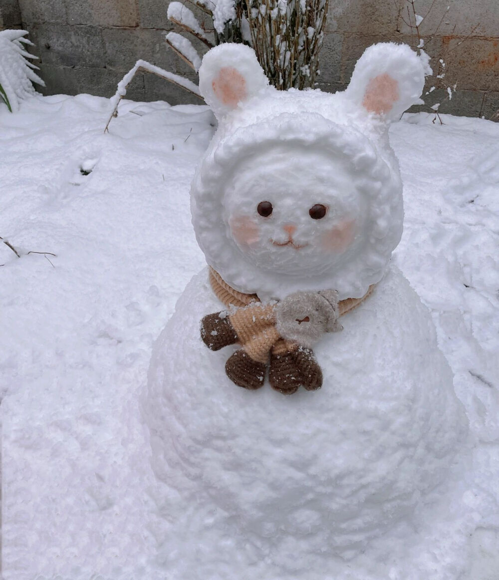 可爱雪，冬天的诗意精灵