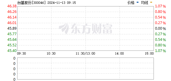 台基股份，引领行业变革，铸就辉煌企业地位