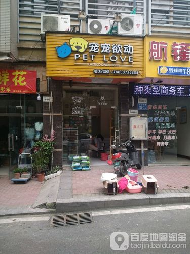 一站式宠物服务与体验中心，轻松寻找附近宠物店