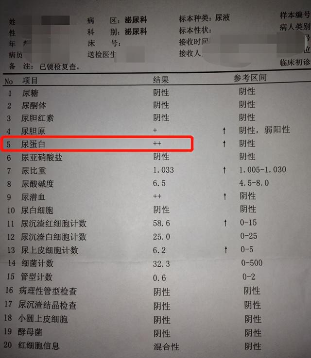 公务员体检尿蛋白1解读及处理建议