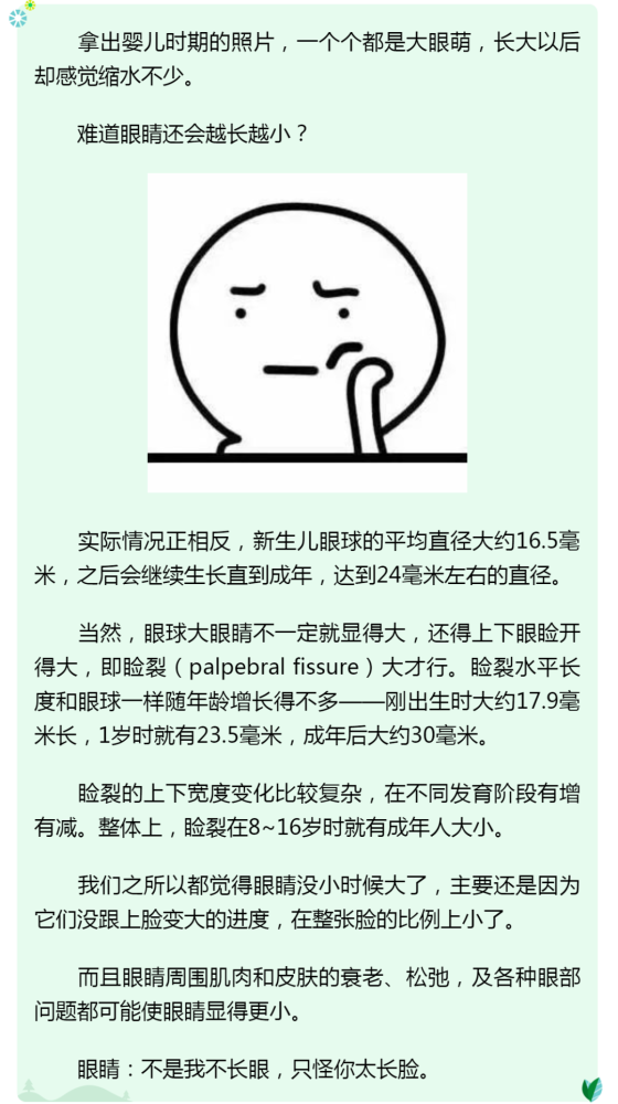 公务员考试中的稀奇古怪题目解析揭秘