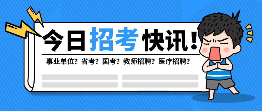 公务员调剂要求详解，理解与应对策略