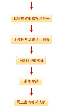 公务员录用全流程详解，从报名到上岗的完整示意图