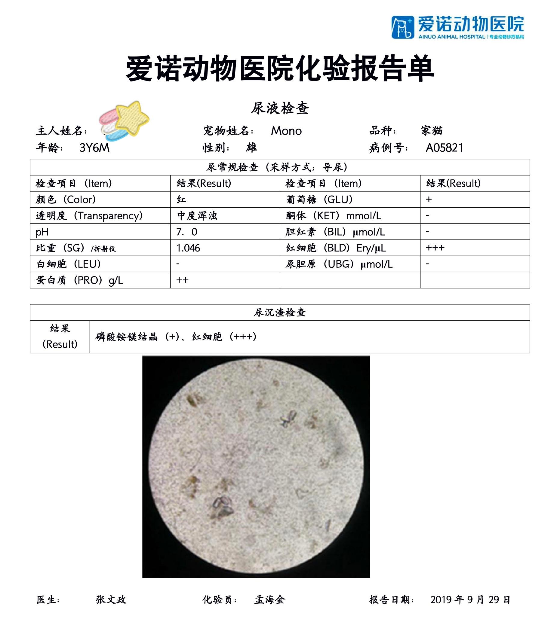 公务员录用体检操作手册详解指南