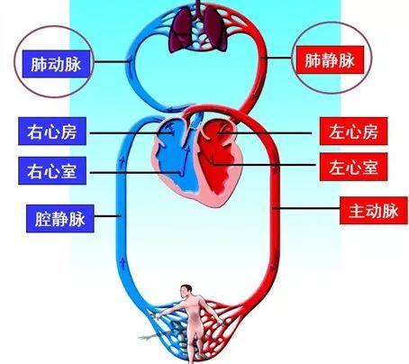 公务员常识题库500题详解及答案精选