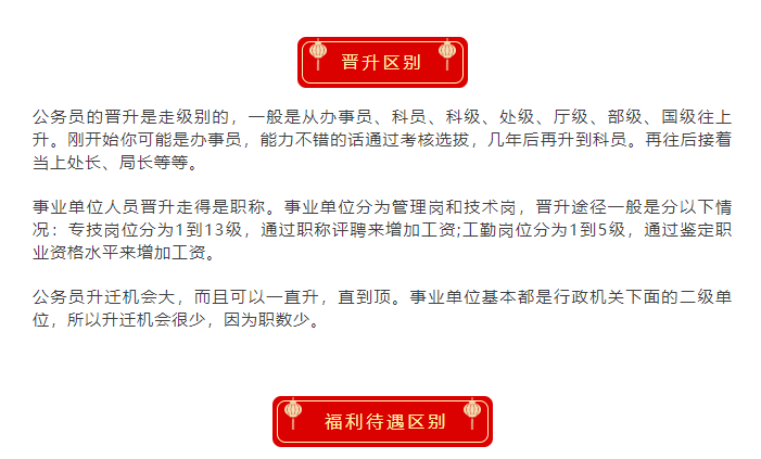 国家公务员管理条例，构建高效公务员体系的基石支柱