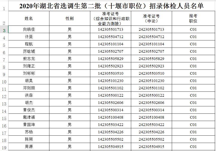 公务员体检标准，健康与职责的双重守护